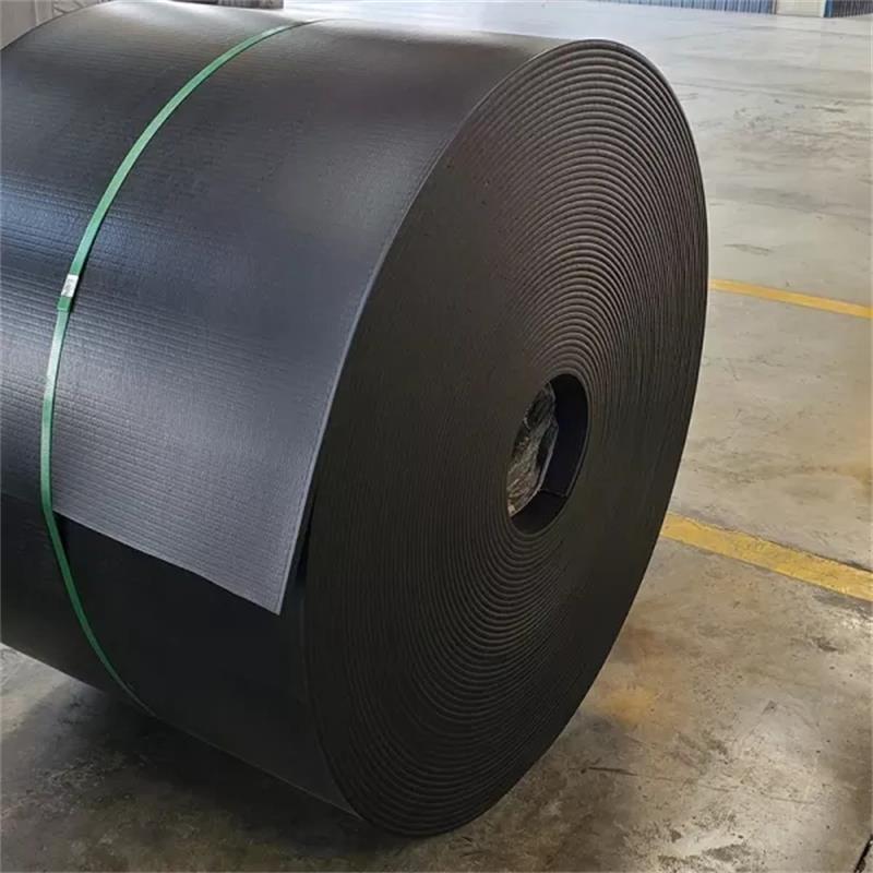 conveyor belt 4